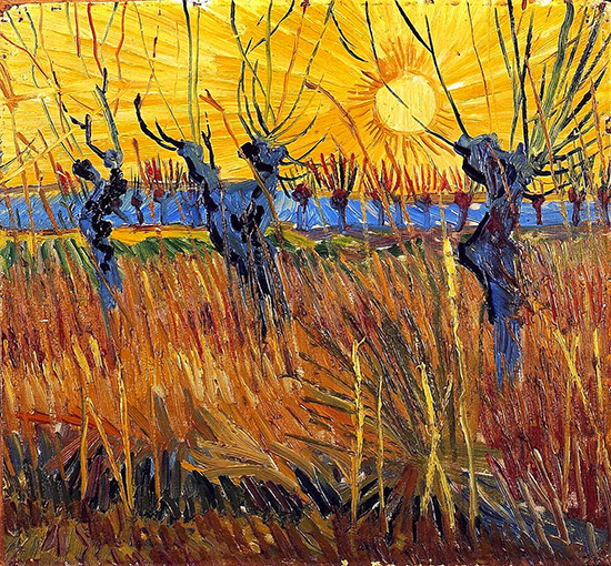Van-Gogh - Saules têtards au soleil couchant, Arles, mars 1888
