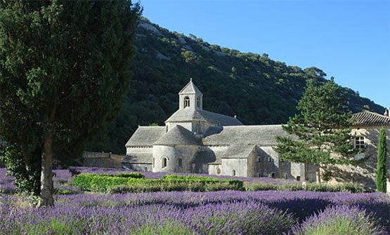 L'abbaye de Sénanque est un monastère cistercien situé dans la région de Provence, dans le sud de la France. Fondée en 1148, le monument est célèbre pour son architecture médiévale et son environnement naturel spectaculaire. Dans cet article, nous allons explorer l'histoire et l'architecture de l'abbaye de Sénanque, ainsi que son fonctionnement.