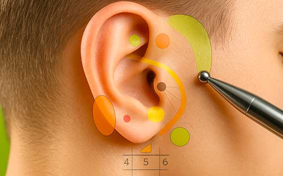 L’auriculothérapie, aussi appelée réflexologie auriculaire, est une discipline sérieuse qui puise ses origines dans les médecines traditionnelles et s’est structurée au fil du temps grâce aux recherches cliniques modernes. Elle repose sur une cartographie très précise de l’oreille externe, considérée comme un miroir du corps humain. Chaque point du pavillon auriculaire correspond à un organe, une fonction physiologique ou un état émotionnel. En agissant sur ces zones réflexes par des pressions, des stimulations ou de petites aiguilles, l’auriculothérapeute rétablit l’équilibre fonctionnel et favorise les capacités d’auto-guérison du corps.