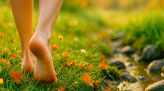 Dans un monde où nos vies modernes nous maintiennent souvent à l’écart des éléments naturels, la mise à la terre apparaît comme une pratique simple et pourtant puissante pour rééquilibrer notre organisme. Inspirée des traditions ancestrales qui prônaient le contact direct avec la Terre, cette approche thérapeutique vise à relier notre corps au champ électromagnétique naturel de la planète. Les draps de mise à la terre viennent prolonger cette bienveillance durant notre sommeil, offrant une continuité au processus de régénération qui s’opère quand nous sommes profondément détendus.