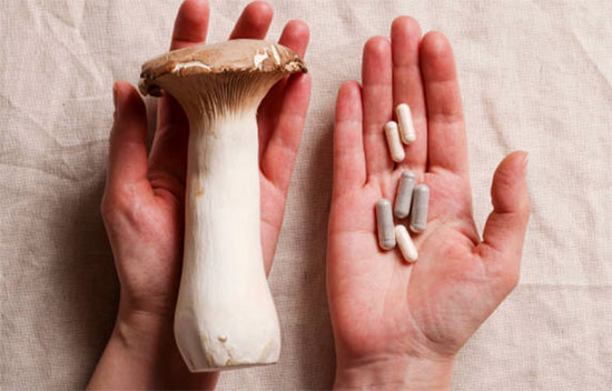 Champignons médicinaux et mycothérapie : les alliés naturels de votre santé