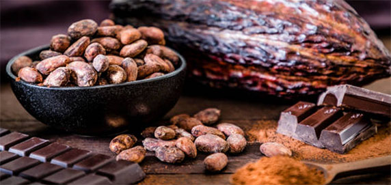 Cultivé sous la canopée d’une agro-forêt et fermenté lentement, le cacao certifié biologique conserve une richesse nutritionnelle que les process industriels effacent souvent. Parmi ces joyaux se niche l’acide alpha-linolénique (ALA), forme végétale des fameux oméga-3. Dans le beurre de cacao, cet acide gras cohabite avec l’acide oléique (parent de l’huile d’olive) et l’acide stéarique (neutre pour le cholestérol) ; un trio savamment équilibré par la nature. Dix grammes de chocolat noir 70 % livrent ainsi jusqu’à cinquante milligrammes d’ALA – un apport modeste mais régulier, précieux pour ceux qui mangent peu de graines ou de poisson.