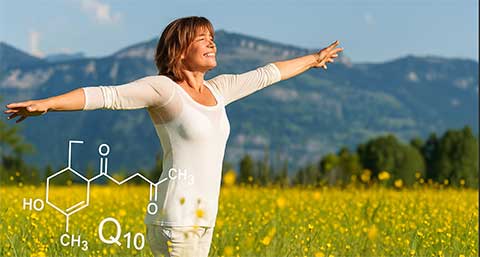 Le Coenzyme Q10, ou CoQ10, s’affirme comme un antioxydant puissant, capable de neutraliser les radicaux libres et de protéger les cellules contre le stress oxydatif. Présent dans chaque organisme, ce dérivé proche de la vitamine K se comporte comme une véritable « vitamine », intervenant dans tous les processus physiologiques nécessitant un apport énergétique. En préservant l’intégrité des membranes cellulaires, le CoQ10 joue un rôle clé pour limiter les effets du temps et maintenir la jeunesse de nos tissus.