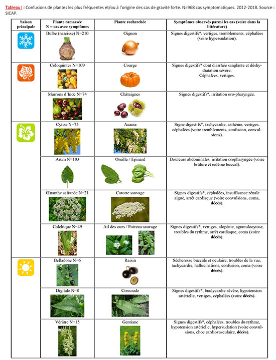 Plantes comestibles ou toxiques