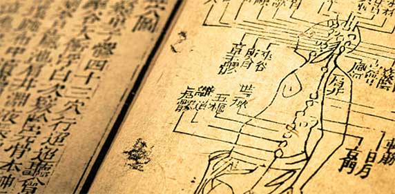 S’initier à la médecine traditionnelle chinoise constitue un véritable voyage à la croisée de l’histoire et de la santé holistique. Riches de cinq millénaires d’observation et de pratique, ses méthodes offrent une vision globale de l’être humain, fondée sur l’équilibre des énergies et l’harmonie avec la nature. Envisager une reconversion pour devenir praticien en médecine chinoise, c’est choisir de s’approprier un savoir médical ancestral, ainsi que ses outils thérapeutiques — de la pharmacopée à l’acupuncture — pour accompagner soi-même et les autres vers une santé durable et naturelle.