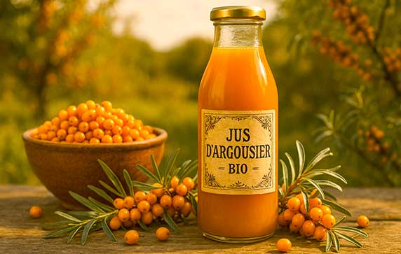 Le jus d’argousier bio suscite de plus en plus l’intérêt des amateurs de bien-être et des adeptes de la nutrition naturelle. Issu de baies orangées originaires des régions montagneuses d’Europe et d’Asie, ce nectar se distingue par ses vertus énergisantes et protectrices. Considéré comme un véritable concentré de vitalité, il trouve sa place dans les routines de ceux qui cherchent à soutenir leurs défenses immunitaires, à combattre la fatigue et à préserver leur capital santé. Dans cet article, nous explorerons les multiples bienfaits de ce breuvage, en nous appuyant sur les propriétés nutritionnelles de l’argousier, tout en éclairant les modalités d’une cure appropriée