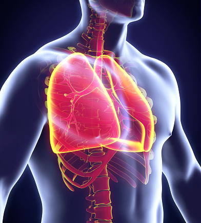 L’étiologie de l’asthme est assez complexe, car elle tire ses racines de nombreuses causes conjointes. Citons les causes émotionnelles, les causes liées à la fragilité des muqueuses des bronches (souvent combinées à l’intolérance vis-à-vis de poussières, de particules, d’acariens, etc.), les causes liées au foie, qui, nous le verrons, possède une influence sur la sphère pulmonaire, et les causes liées à l’état de la barrière intestinale. Inutile de vous dire que pour l’allopathe, les causes de l’asthme sont purement respiratoires, et ce dernier ne tient pas compte du rôle du foie, des intestins, ou de l’état émotionnel.
