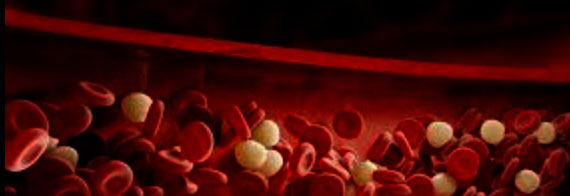 La méthémoglobinémie est une affection médicale rare mais potentiellement grave caractérisée par une augmentation de la concentration de méthémoglobine dans le sang. Cette affection est une forme oxydée de l'hémoglobine, la protéine présente dans les globules rouges qui transporte l'oxygène dans le corps. Lorsque l'hémoglobine est oxydée, elle devient incapable de transporter efficacement l'oxygène, ce qui entraînea une hypoxie tissulaire (c'est-à-dire une diminution de l'apport en oxygène aux tissus).