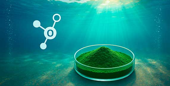 Portées par une vague d’intérêt pour les "superaliments", les micro-algues et autres nutriments marins suscitent aujourd’hui une véritable effervescence dans les domaines de la nutrition et du bien-être. Véritables concentrés de protéines, de vitamines, de minéraux et d’acides gras essentiels – parmi lesquels les précieux oméga-3 et oméga-6 –, ces végétaux microscopiques issus des océans et des eaux douces incarnent la promesse d’une alimentation à la fois durable et hautement nutritive. En parcourant les côtes bretonnes et en explorant les dernières innovations technologiques, on découvre la magie de ces algues, à la croisée de traditions ancestrales et de méthodes de culture avant-gardistes.