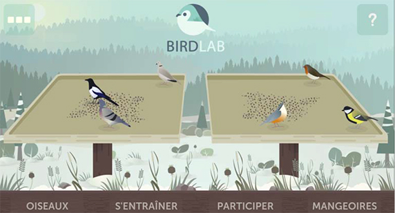 Suite au succès des deux précédentes éditions de BirdLab, Vigie-Nature, le programme de sciences participatives du Muséum national d'Histoire naturelle, reconduit l’expérience en partenariat avec la LPO et AgroParisTech, du 15 novembre 2016 au 31 mars 2017. Grâce à ce jeu collaboratif qui étudie le comportement des oiseaux à la mangeoire, les scientifiques ont déjà mis en évidence des interactions entre différentes espèces d'oiseaux en hiver.