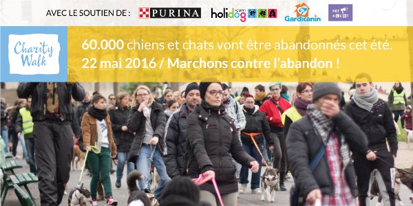 J-4 pour la « Charity Walk » de Paris contre l'abandon des animaux