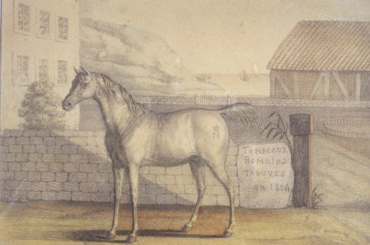 LA RESTAURATION DE VIZIR Le dernier cheval de Napoléon